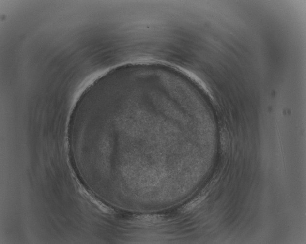 X0000073451327200608251656