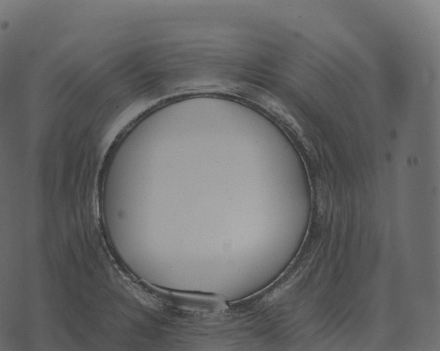 X0000073451328200608251656