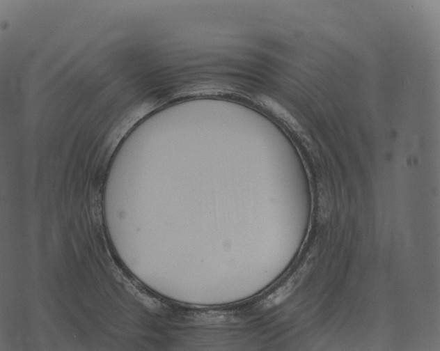 X0000073451329200608251656