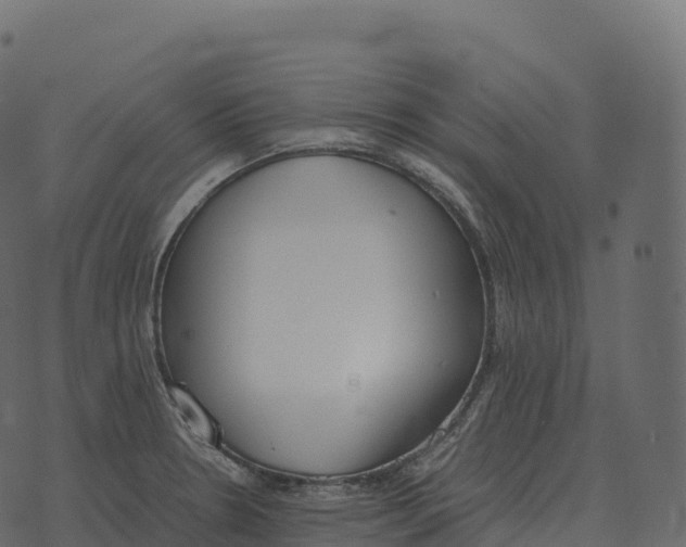 X0000073451330200608251656