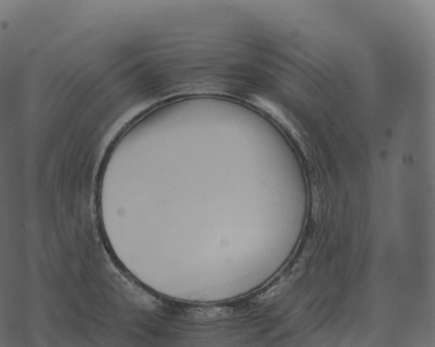 X0000073451331200608251656