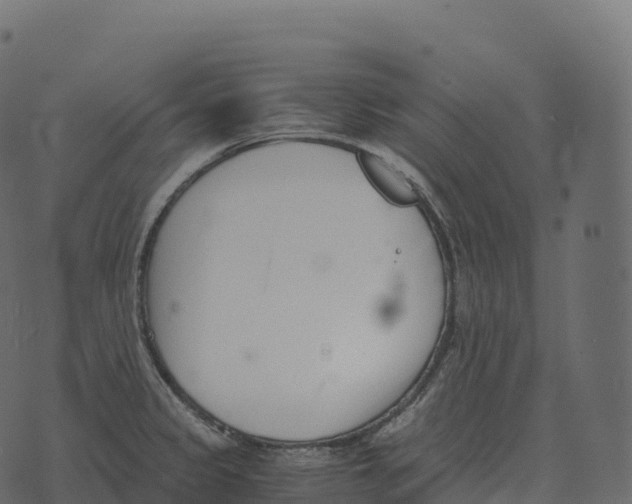 X0000073451333200608251656