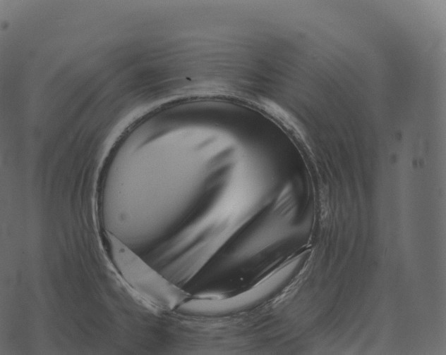 X0000073451334200608251656