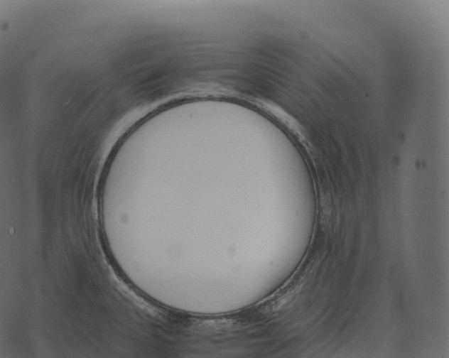 X0000073451335200608251656