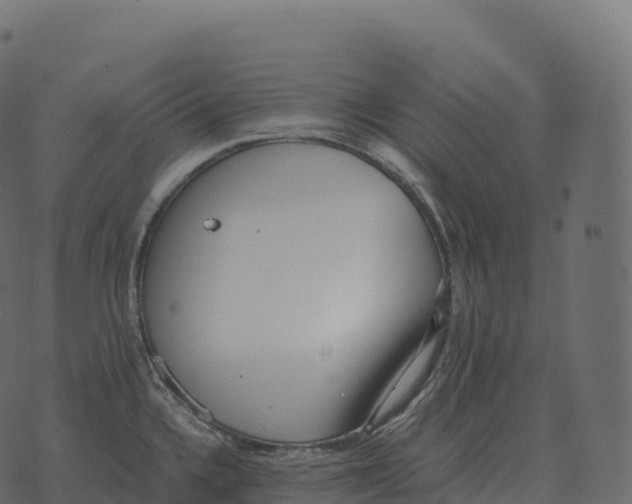 X0000073451336200608251656