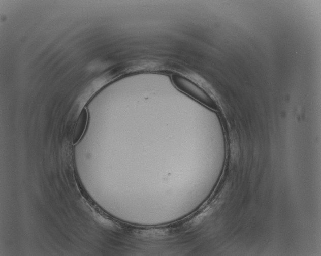 X0000073451337200608251656