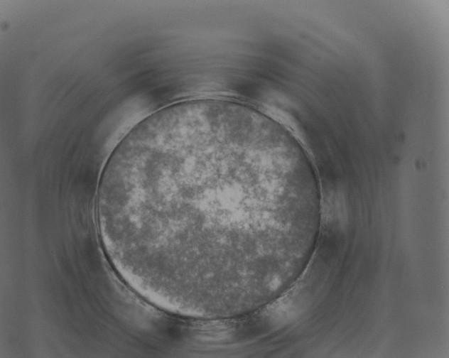 X0000073451338200608251656