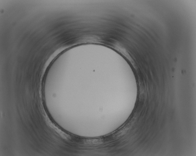 X0000073451339200608251656