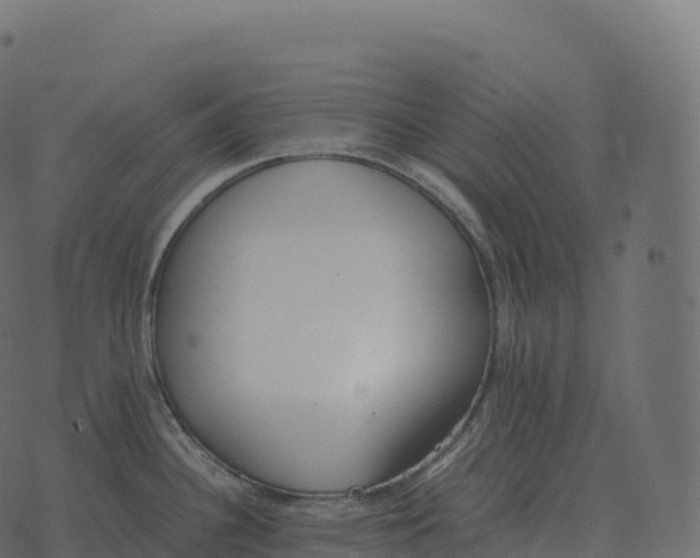 X0000073451340200608251656