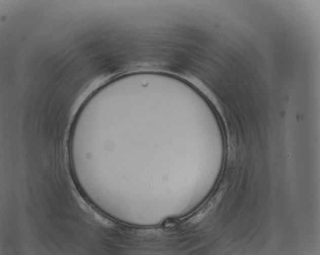 X0000073451341200608251656