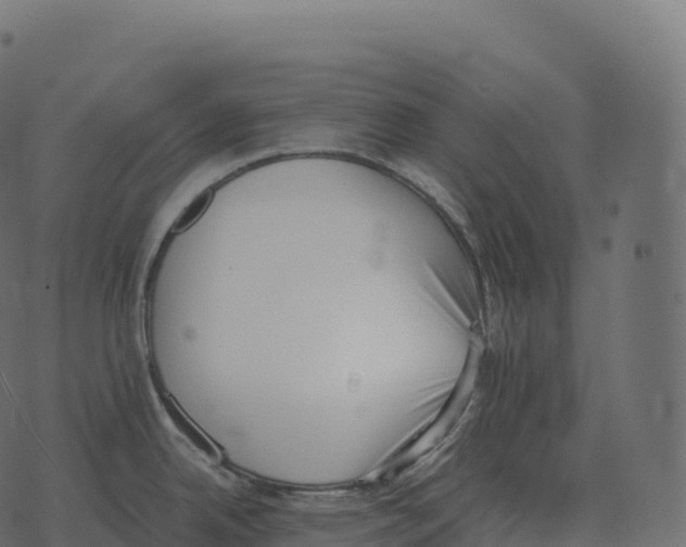 X0000073451342200608251656