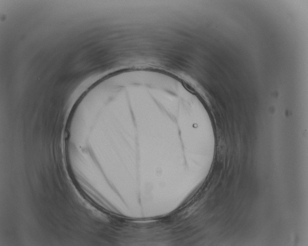 X0000073451343200608251656