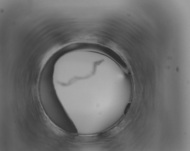 X0000073451344200608251656