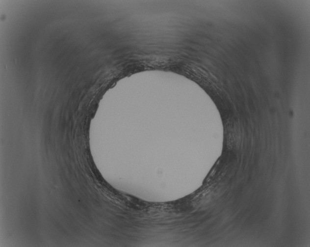 X0000073451345200608251655