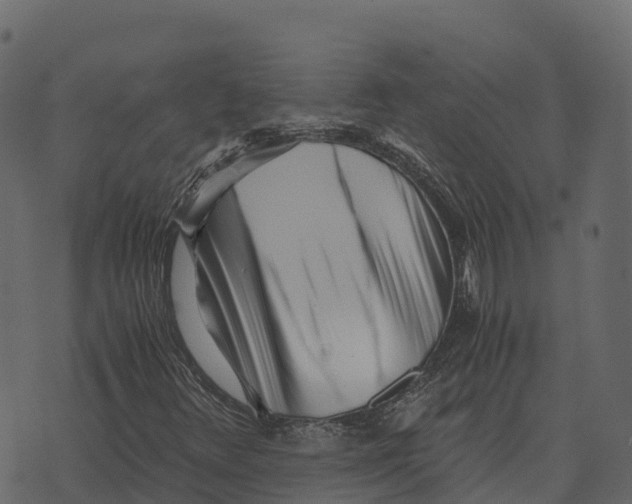 X0000073451348200608251655