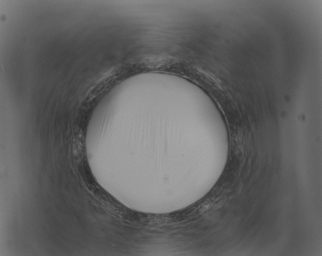 X0000073451349200608251655