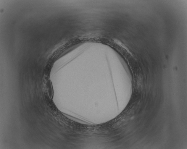 X0000073451350200608251655