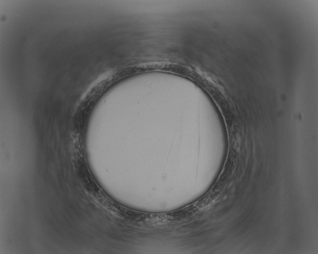 X0000073451351200608251655