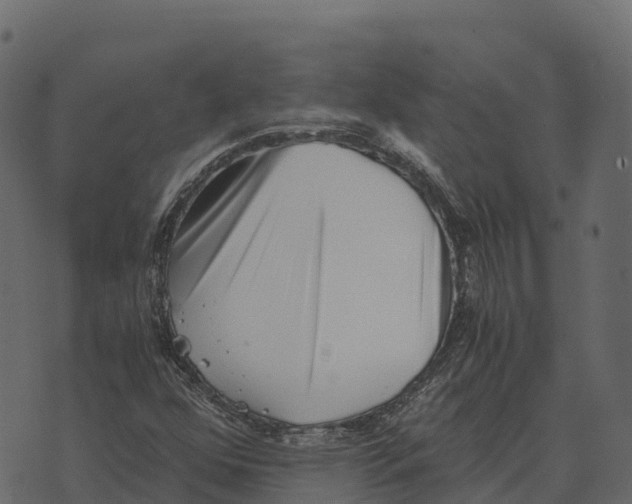 X0000073451352200608251655