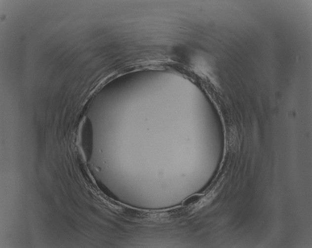 X0000073451353200608251655