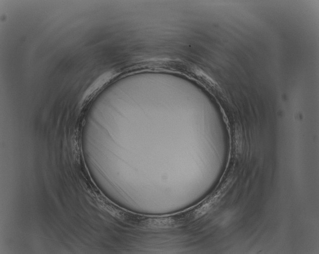 X0000073451354200608251655