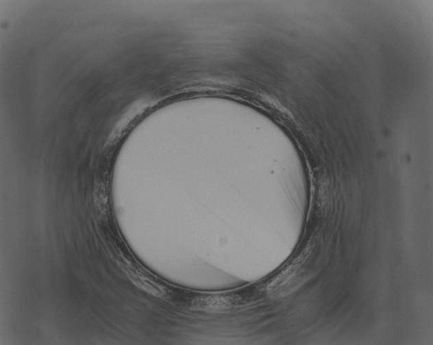 X0000073451355200608251655