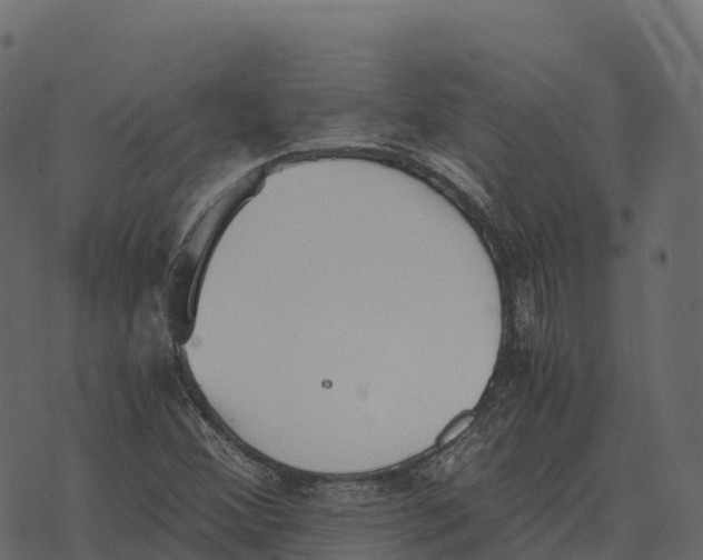 X0000073451356200608251655