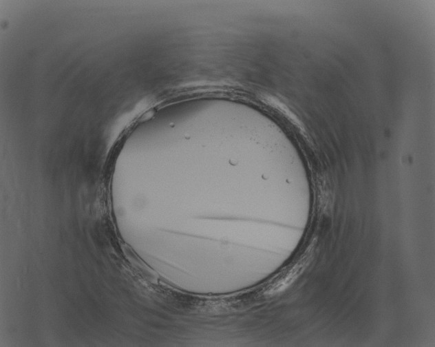 X0000073451357200608251655