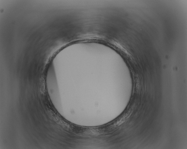 X0000073451358200608251655