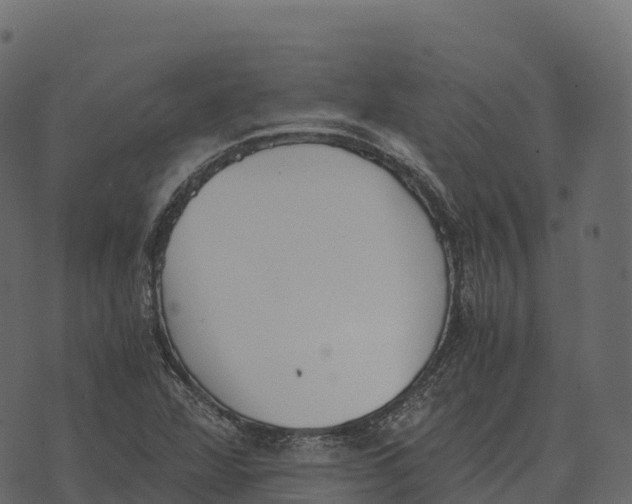 X0000073451360200608251655