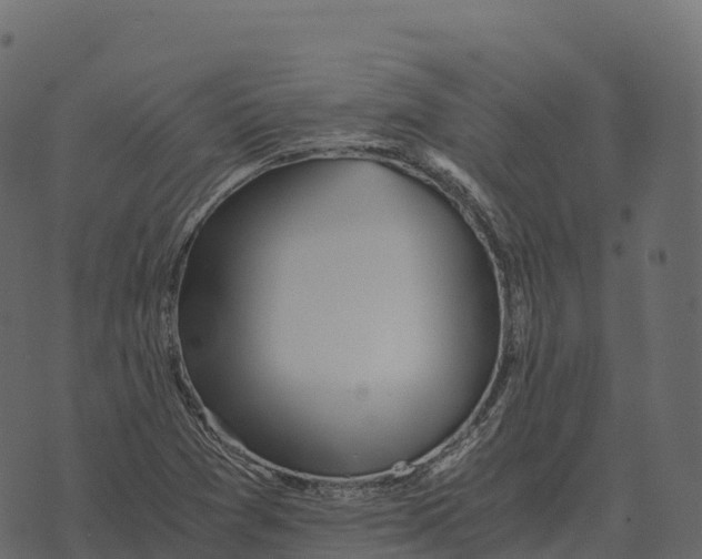 X0000073451361200608251655