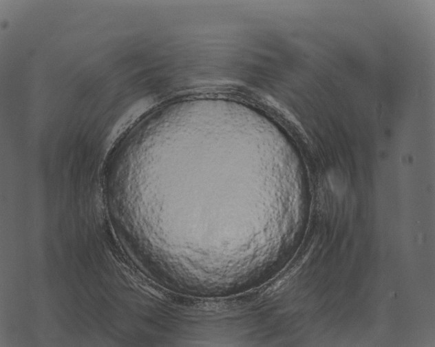 X0000073451362200608251655