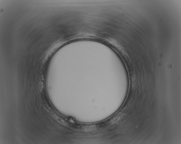 X0000073451363200608251655