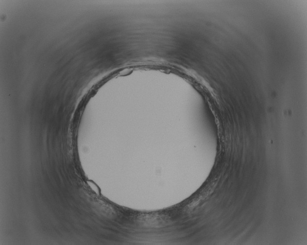 X0000073451364200608251655