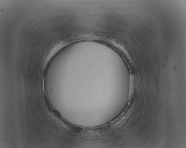 X0000073451365200608251655