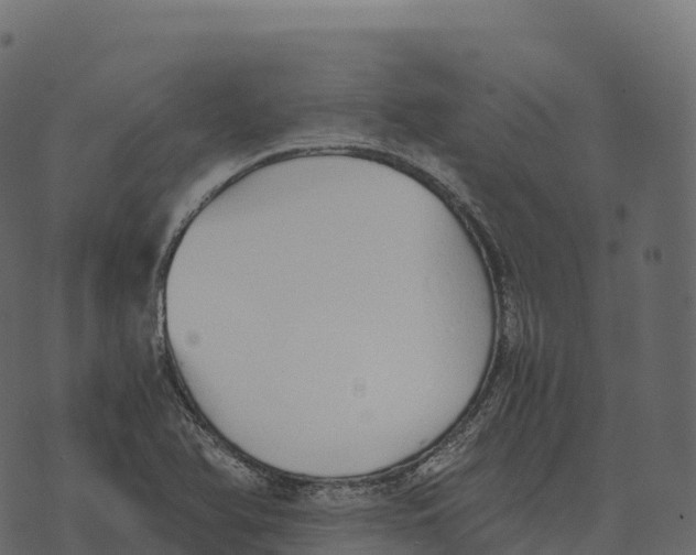 X0000073451366200608251655