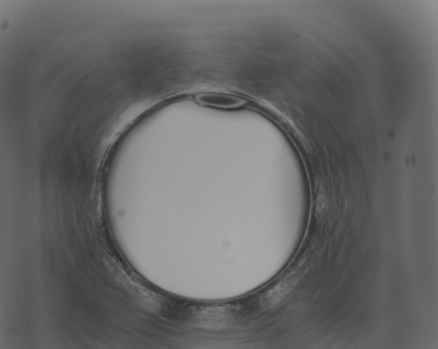 X0000073451367200608251655