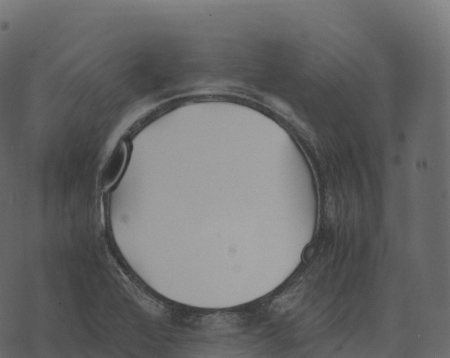 X0000073451368200608251655