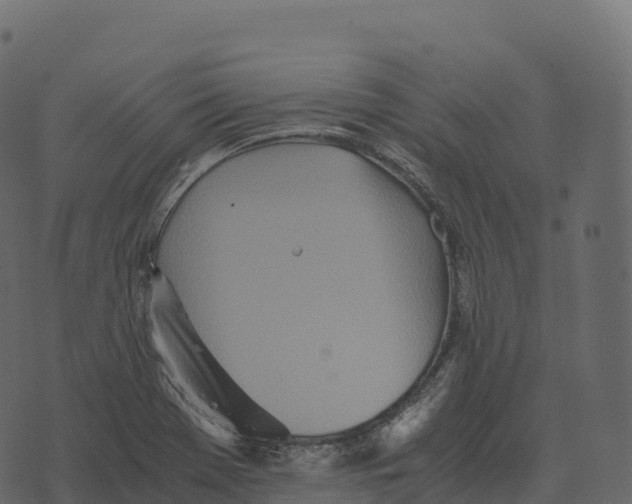 X0000073451369200608251655