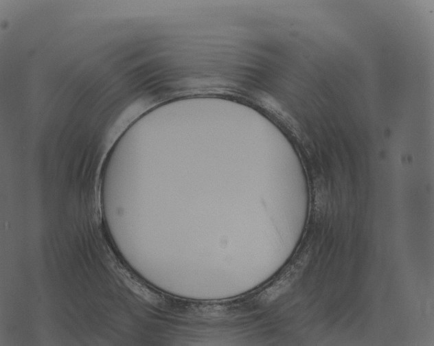 X0000073451370200608251655