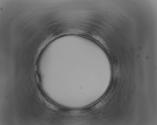 X0000073451371200608251655