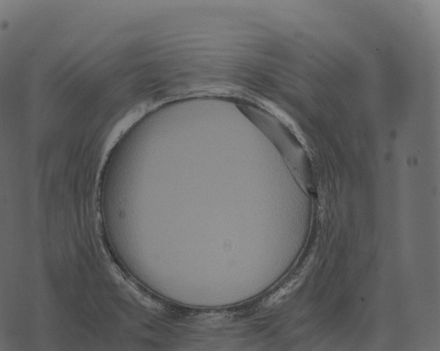 X0000073451373200608251655