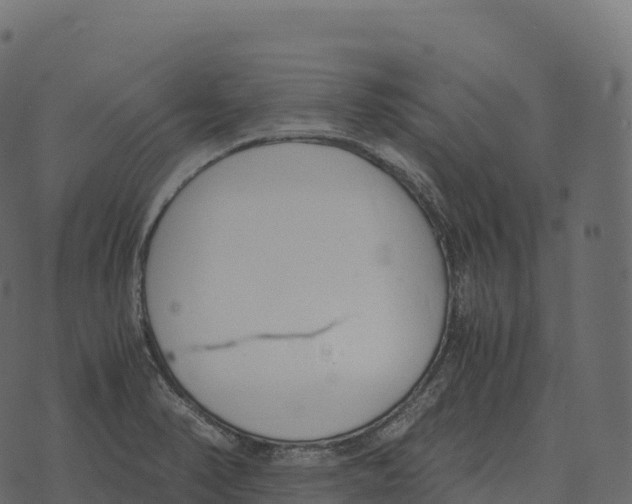 X0000073451374200608251655