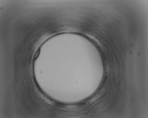 X0000073451375200608251655