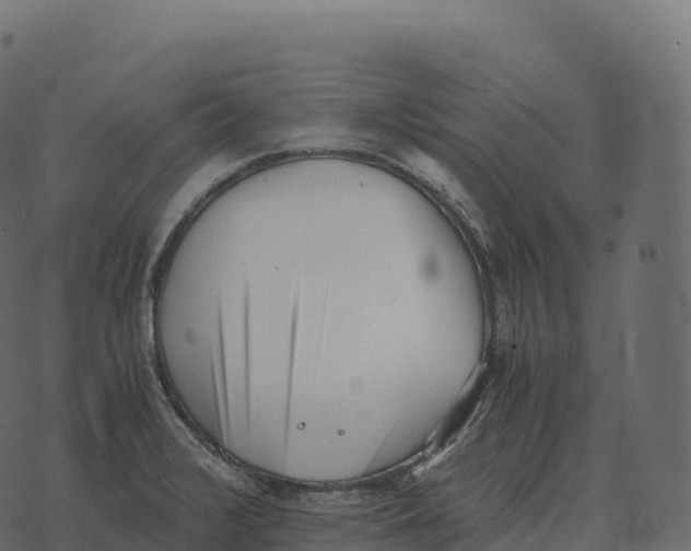 X0000073451376200608251655