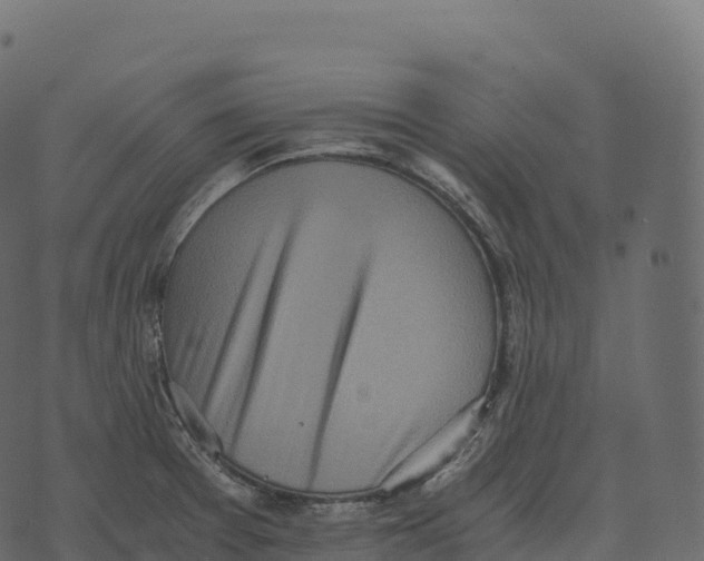 X0000073451377200608251655