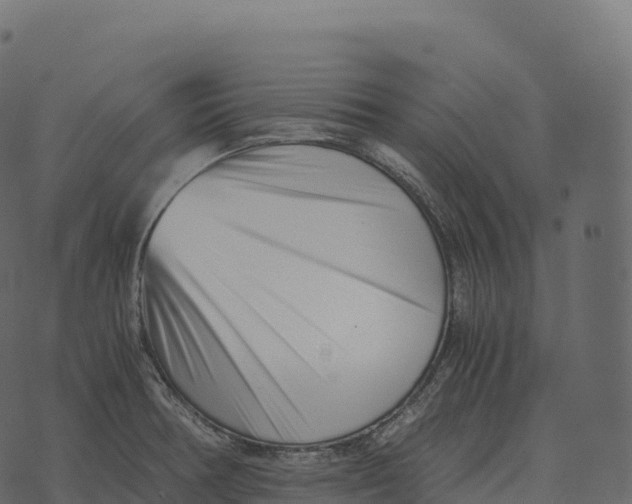 X0000073451378200608251655