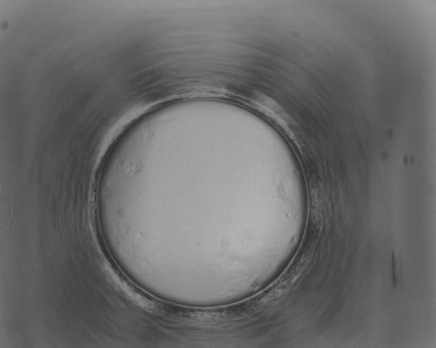 X0000073451379200608251655