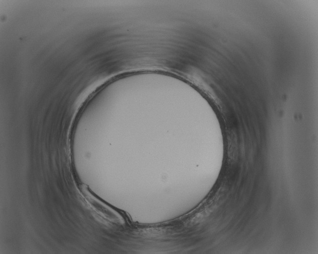 X0000073451380200608251655