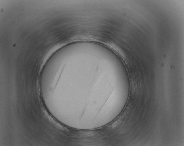 X0000073451382200608251655